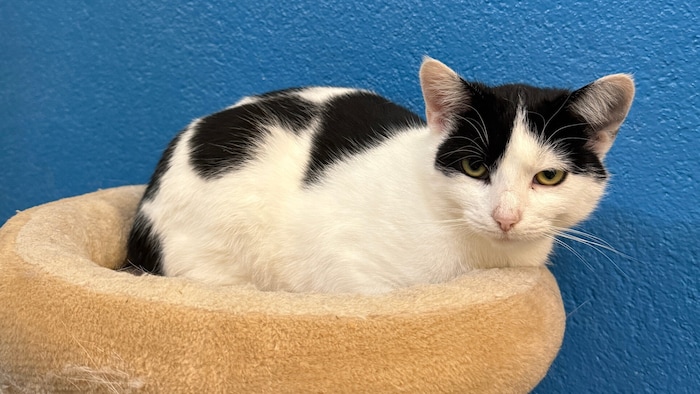 Bitte geben Sie Clara etwas Zeit