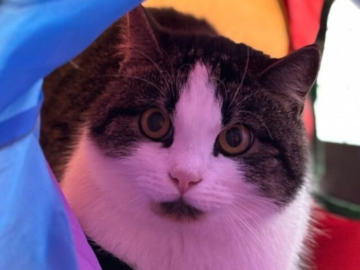 Liebevoller Dauerplatz erträumt