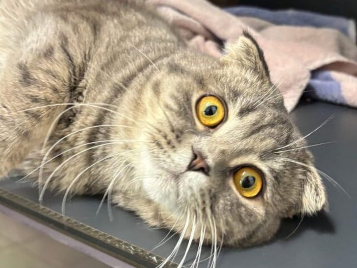 Lebensglück für Tom erbeten