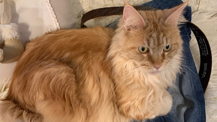 Wer hat Kati gesehen?