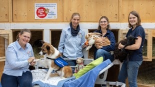 Dank der großzügigen Spender des Vereins „Freunde der Tierecke“ ist aus Trümmern ein Ort voller ...