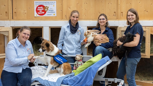 Dank der großzügigen Spender des Vereins „Freunde der Tierecke“ ist aus Trümmern ein Ort voller ...