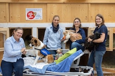 Dank der großzügigen Spender des Vereins „Freunde der Tierecke“ ist aus Trümmern ein Ort voller ...