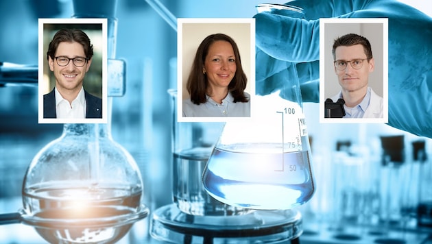 Von rechts: Dr. Bernhard Mühl, Dr. Katharina Millesi und Dr. Nikolaus Gasche über die aktuellen ...