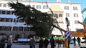 Die 18 Meter hohe Fichte wurde am Dienstag vor dem Goldenen Dachl aufgestellt.
