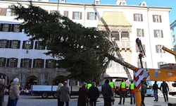 Die 18 Meter hohe Fichte wurde am Dienstag vor dem Goldenen Dachl aufgestellt.