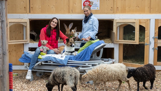 Der Verein „Freunde der Tierecke“ hilft, wo Unterstützung gebraucht wird – wie am Lichtblickhof. ...