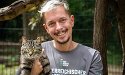 Alfred Kofler, Leiter des Assisi-Hofs hofft, dass der Kater bald ein neues Zuhause hat.