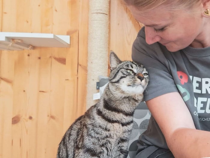 Nur noch ein kleines „Wohlstandspolsterl“ an den Hüften trägt „Gismo“, der derzeit bei einer ...