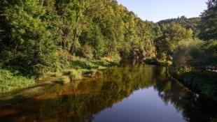 Wo im Kamptal liegen die schützenswerten Wälder? ÖVP und Grüne sind da unterschiedlicher ...