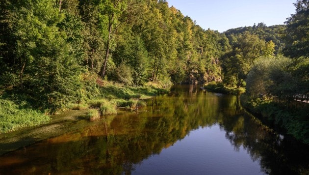 Wo im Kamptal liegen die schützenswerten Wälder? ÖVP und Grüne sind da unterschiedlicher ...