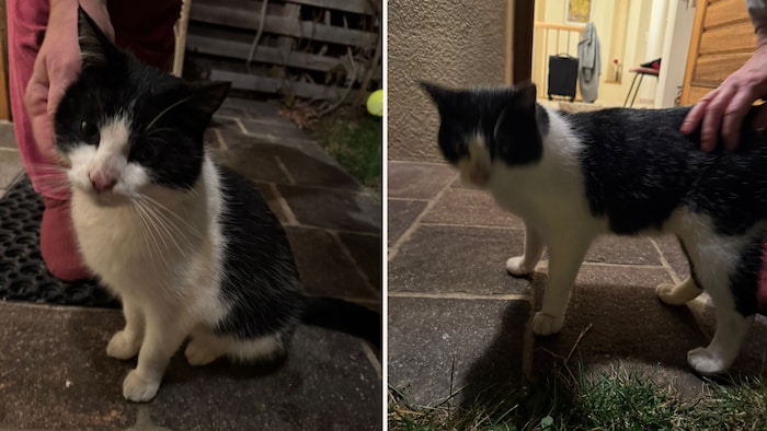 Information requested!