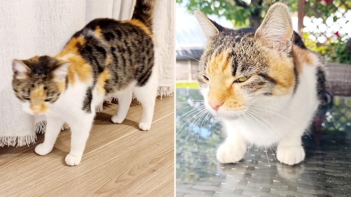 Where is her sweet home?