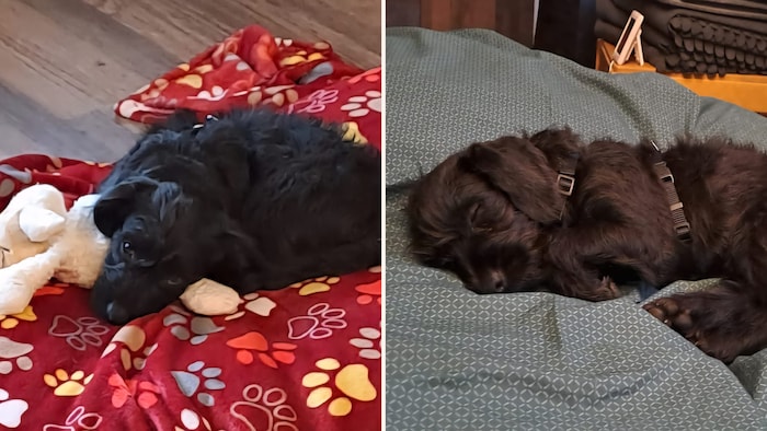 So süß, zum Anbeißen!