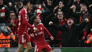 Alexis Mac Allister erzielte das Goldtor für den FC Liverpool.