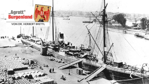 Die Halbturner Franz Ettl und Juliana Steiner kehrten 1886 der Heimat den Rücken. Über Rotterdam ...