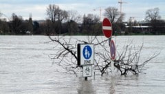 Ursprünglich hatte die EU-Kommission eine Emissionssenkung um 90 Prozent bei einem Anteil von ...
