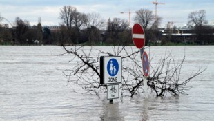 Ursprünglich hatte die EU-Kommission eine Emissionssenkung um 90 Prozent bei einem Anteil von ...
