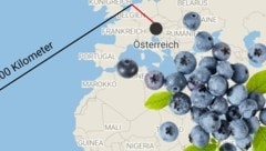 Früchte aus Südamerika legen unglaublich weite Distanzen bis in den europäischen Handel zurück.