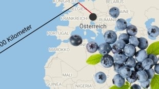 Früchte aus Südamerika legen unglaublich weite Distanzen bis in den europäischen Handel zurück.