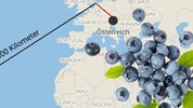 Früchte aus Südamerika legen unglaublich weite Distanzen bis in den europäischen Handel zurück.