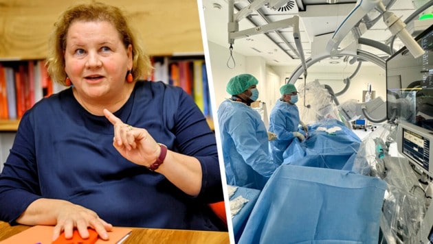 SPÖ-Gesundheitsministerin Schumann lud zu einem Gipfel mit allen Ländern, den es so nicht gibt.