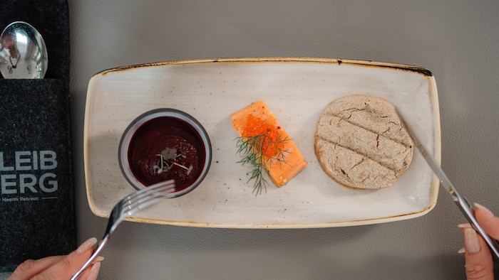 Rote-Rüben-Aufstrich, ein Stück Lachs, Sojalaibchen als Kautrainer.