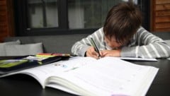 Inhalte mit Bezug zu Geschlechtsidentitäten sorgen bei vielen Kindern für Verwirrung.