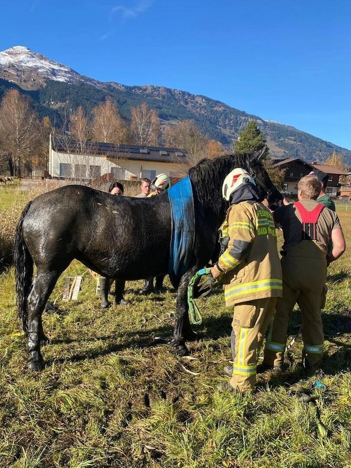 „Lilli“ blieb zum Glück unverletzt