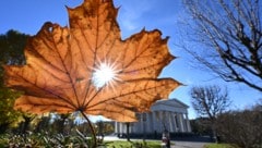 Die Sonne zeigt sich in den kommenden Tagen in Österreich häufig.