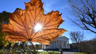Die Sonne zeigt sich in den kommenden Tagen in Österreich häufig.