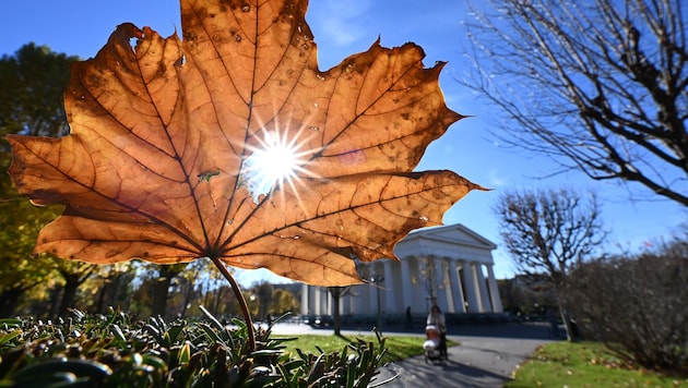 Die Sonne zeigt sich in den kommenden Tagen in Österreich häufig.