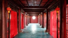 Schwerpunkt der Aktion war der Agrarsektor sowie die Ausbeutung von Nicht-EU-Bürgern und ...