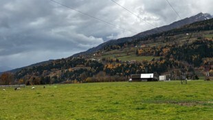 Hier sollen Tiere grasen und Strom soll erzeugt werden.