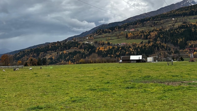 Hier sollen Tiere grasen und Strom soll erzeugt werden.