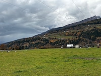 Hier sollen Tiere grasen und Strom soll erzeugt werden.