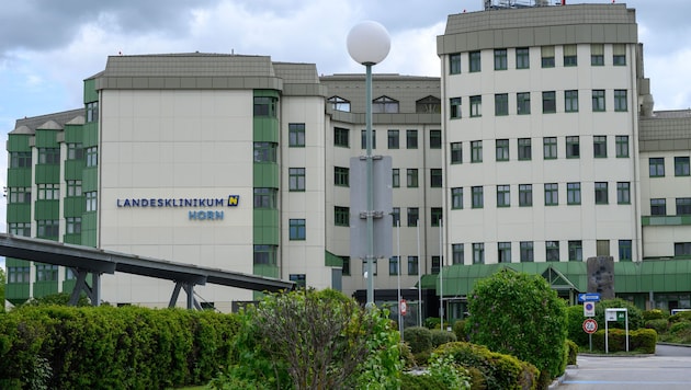 In das schwer sanierungsbedürftige Krankenhaus Horn sollen 90 Millionen Euro investiert werden.