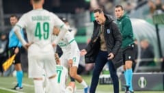 Gäste-Trainer Mirel Rădoi sah für dieses Wortgefecht mit Rapids Tobias Gulliksen bereits nach 20 ...