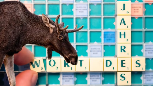 Bis 1. Dezember können alle Österreicher für das Wort des Jahres abstimmen.