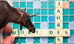 Bis 1. Dezember können alle Österreicher für das Wort des Jahres abstimmen.