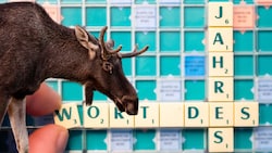 Bis 1. Dezember können alle Österreicher für das Wort des Jahres abstimmen. 