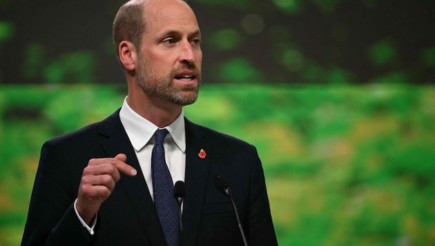 Prinz William verlieh diese Woche in Rio de Janeiro seinen Earthshot Prize. Auf die Frage nach ...