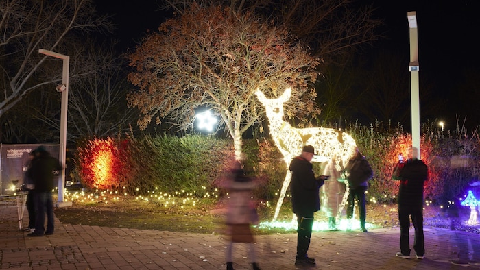 Auch der Eingangsbereich wird neu gestaltet. Noch mehr Tiere, noch mehr Lichter!