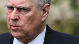 Andrew Mountbatten Windsor wird von mehreren US-Demokraten dazu aufgefordert, über Jeffrey ...