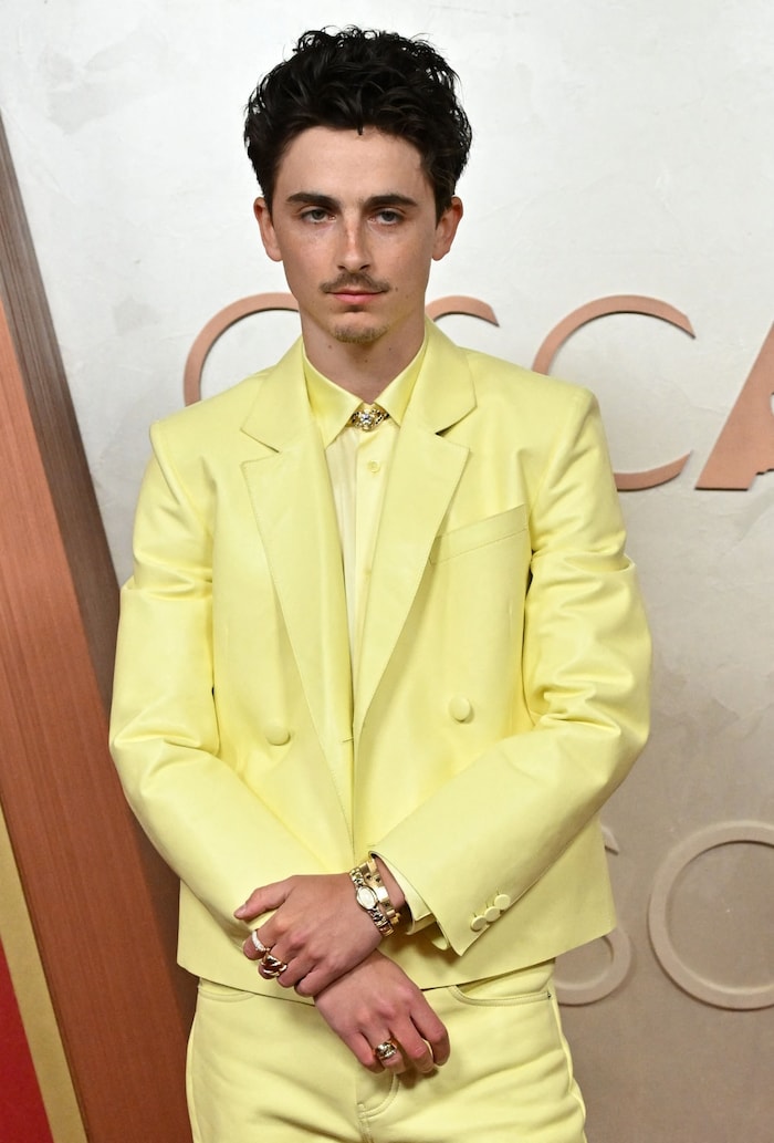 Bei der diesjährigen Oscar-Verleihung war Chalamet zwar nominiert, ging aber leer aus.