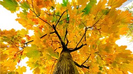 Auch die Natur kann eine Quelle des Sinns sein.