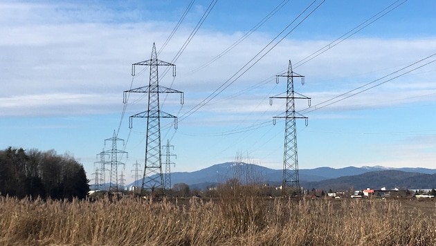 Die 380-kV-Leitung sorgt für Unmut.