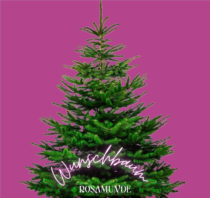 Der Wunschbaum der „Rosamunde“ ist beim Veldener Advent eine Tradition.