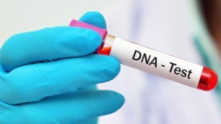 Im deutschen Ulm wollte sich ein 37-Jähriger vor den Unterhaltszahlungen für sein außereheliches ...