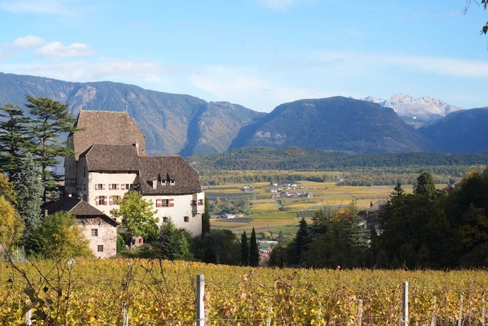 Schloss Englar inmitten von Weinkulturen.